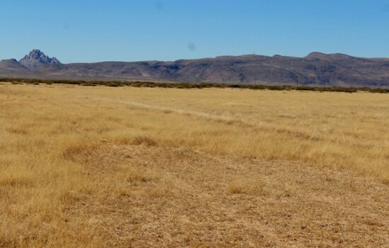 0.5 Acre Deming Ranchette, New Mexico. 25% off!