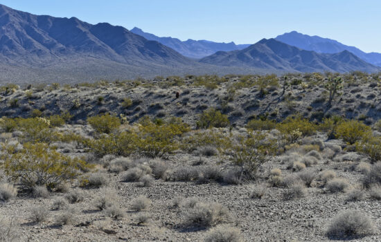 6 Acres in Meadview, AZ. Borders government land! REDUCED! Desirable parcel, road access, amazing mountains, Lake Mead, Kingman, Las Vegas!