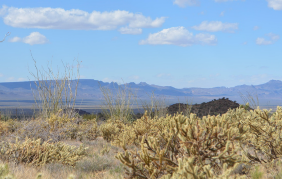 2.35 Acres in Golden Valley, AZ. Serenity and peaceful land in prime area.