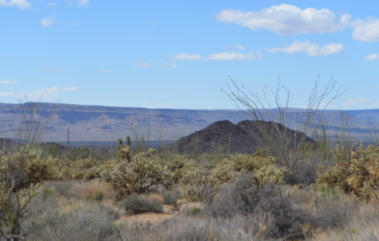 2.35 Acres in Yucca, AZ. Incredibly beautiful, perfect location